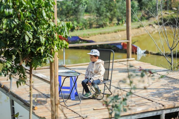 Le rôle des écoles dans la promotion des énergies propres
