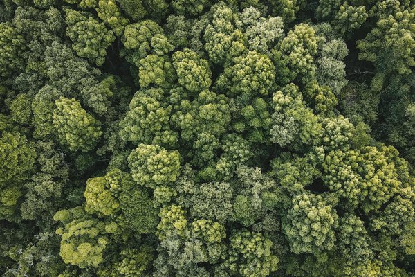 La reconversion professionnelle pour les cadres : c'est le moment?